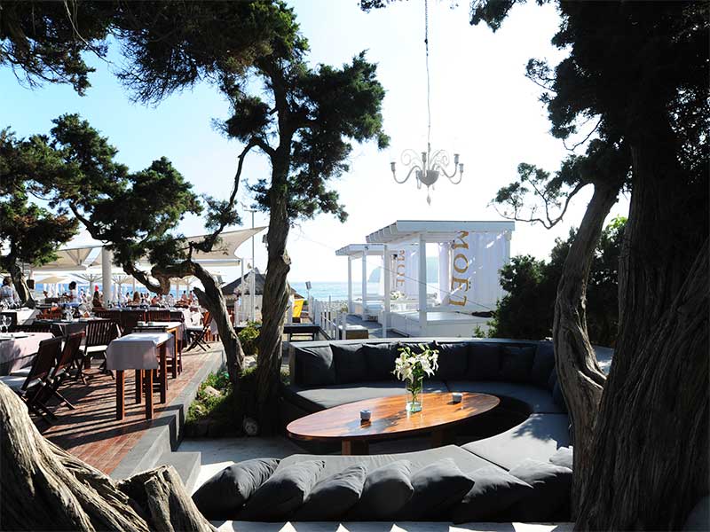 Blue-Marlin-Ibiza.jpg
