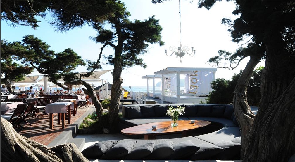 Blue Marlin