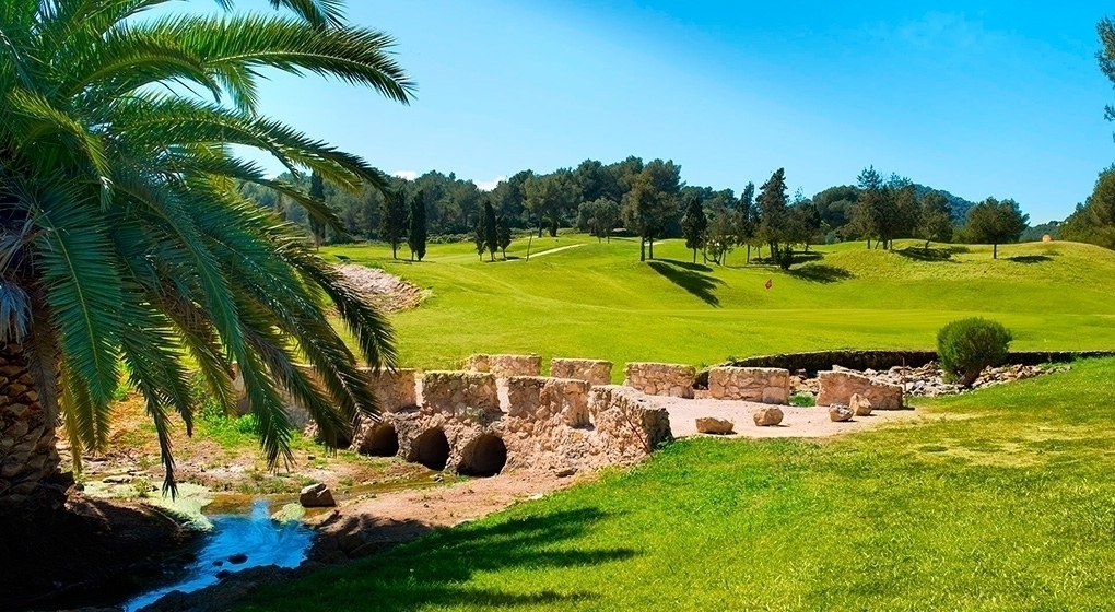 Golf campo red