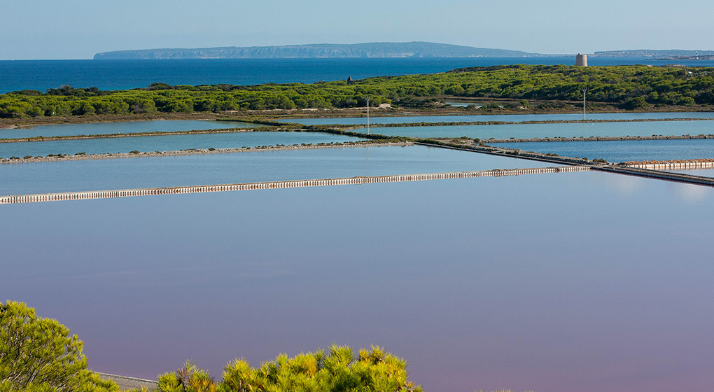Ses-Salines-uno