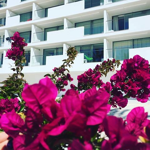 Sud Ibiza Suites