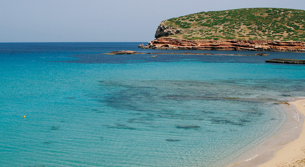 cala-conta-red