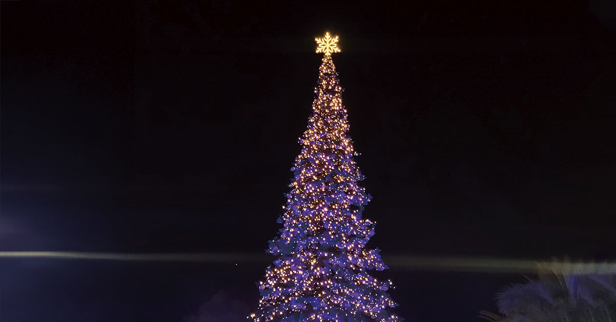 arbol de navidad san antonio