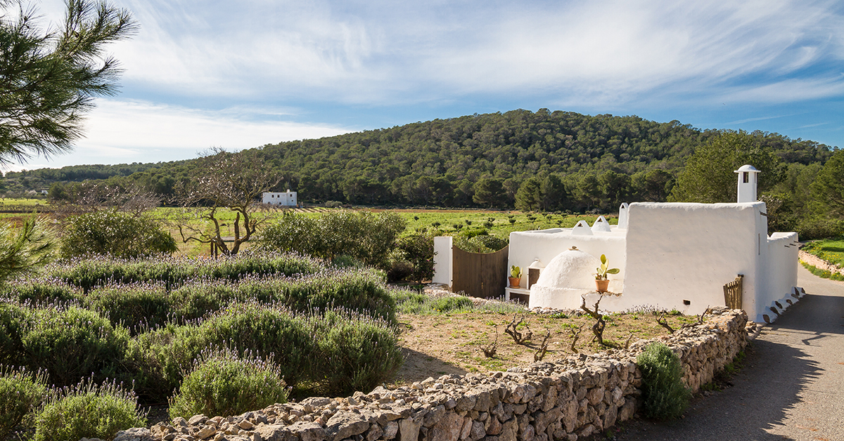 campo de ibiza con casa tradicional