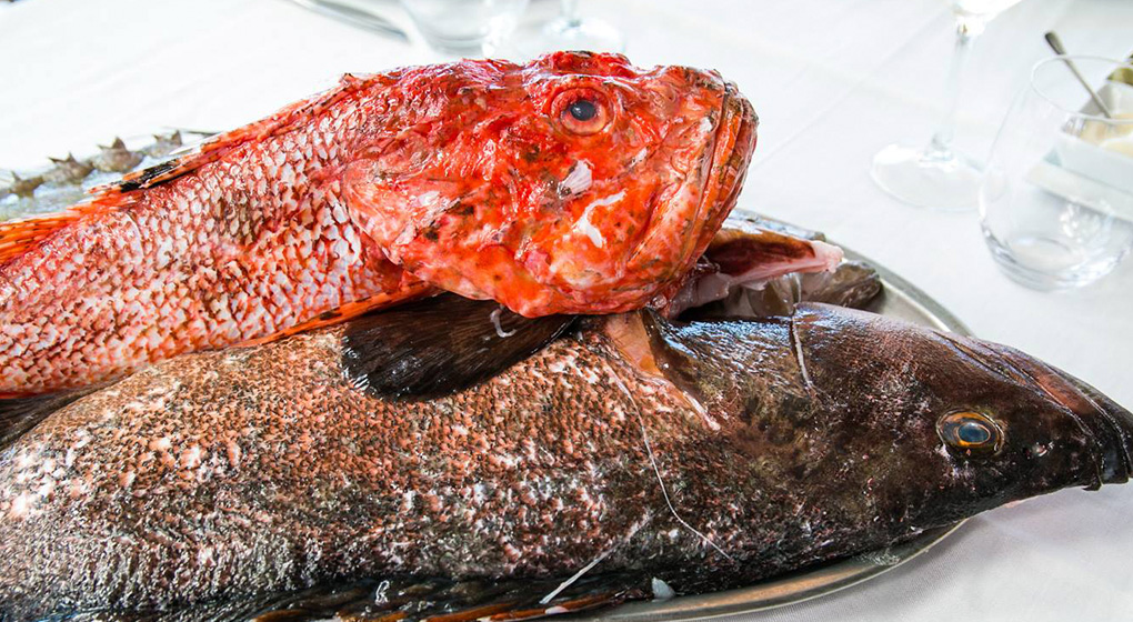 pescado-fresco