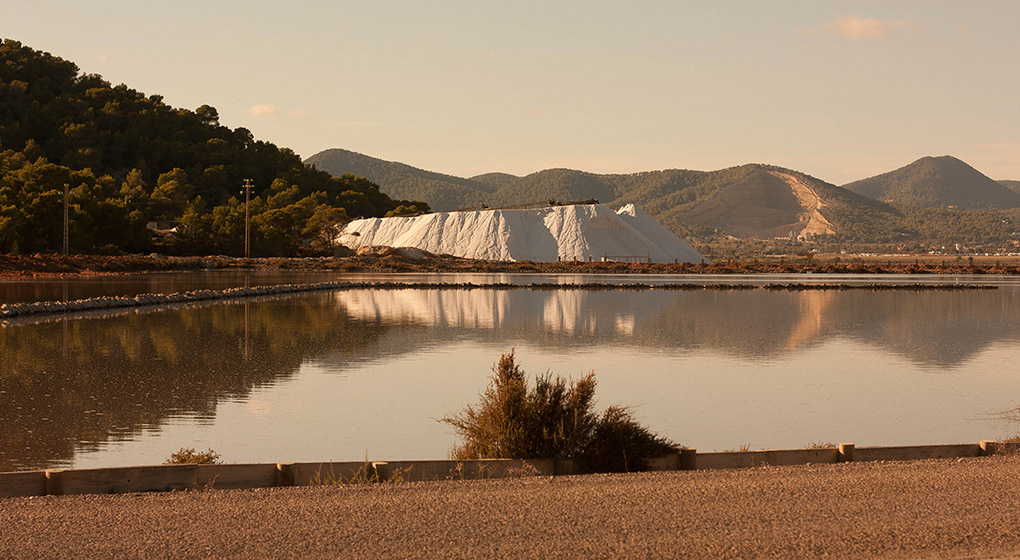 salinas-red