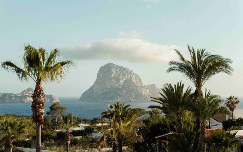 Petunia Ibiza