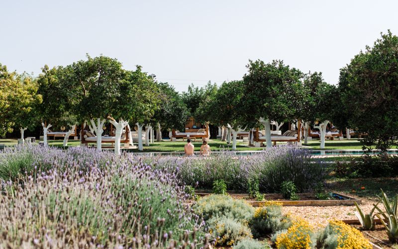 Agroturismo Atzaró
