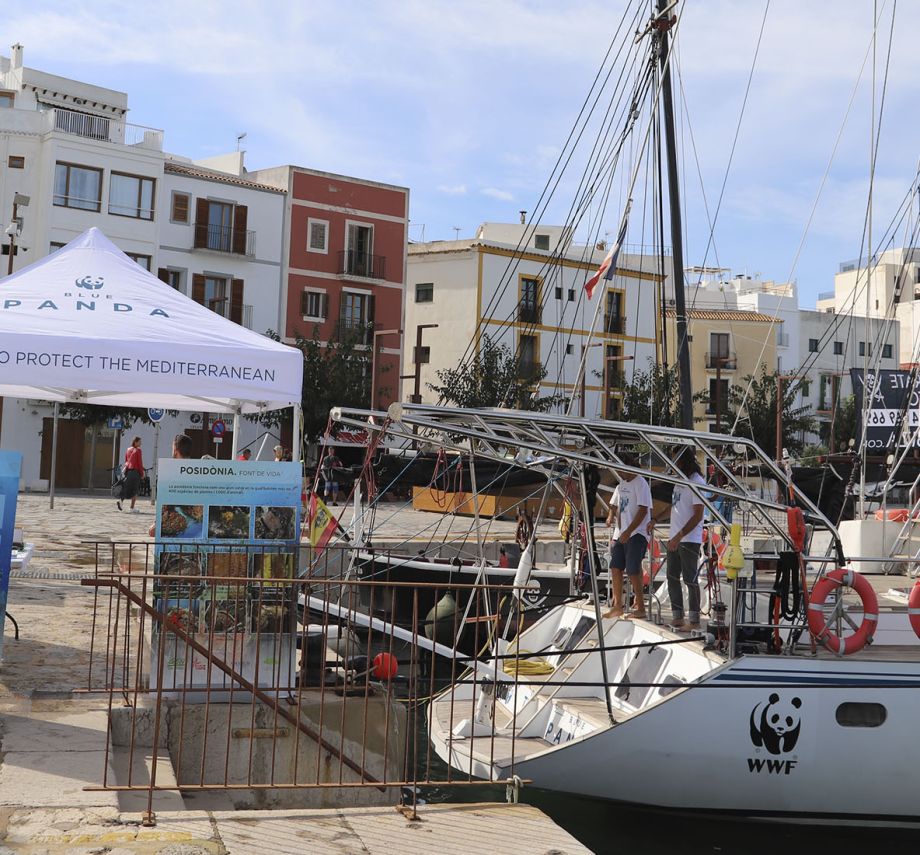 El Blue Panda de WWF recala en Marina Port Ibiza por la campaña de protección de la reserva marina de Tagomago.