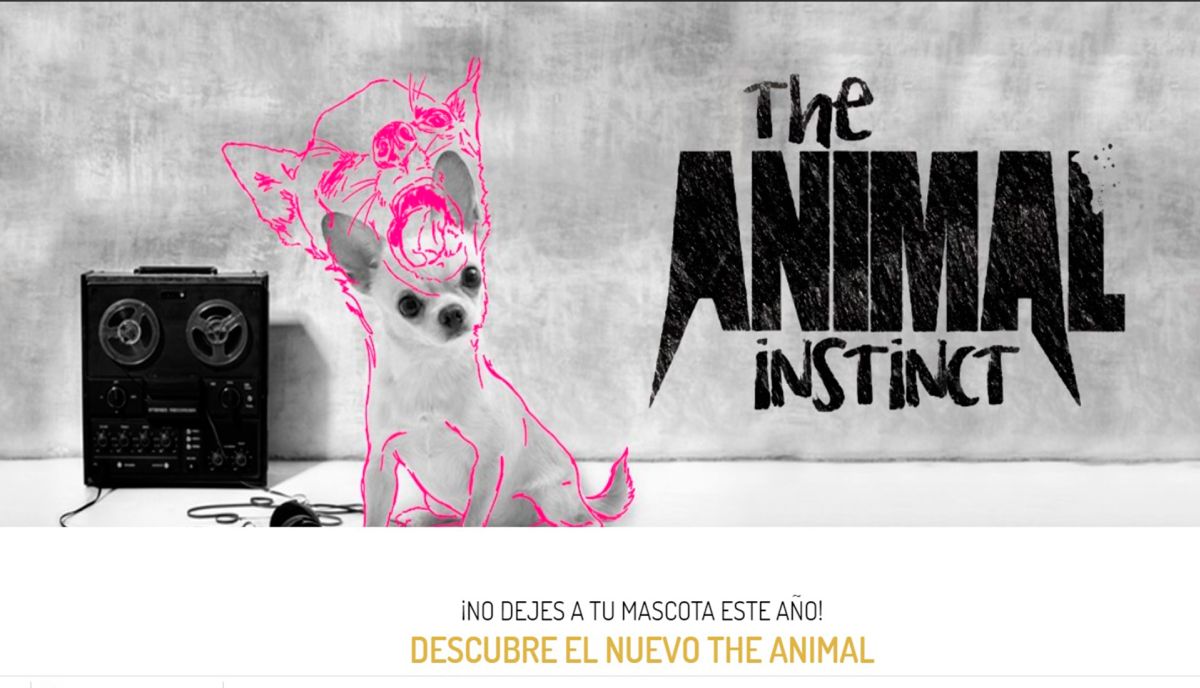 Thinking about your holidays in Ibiza with your pet?