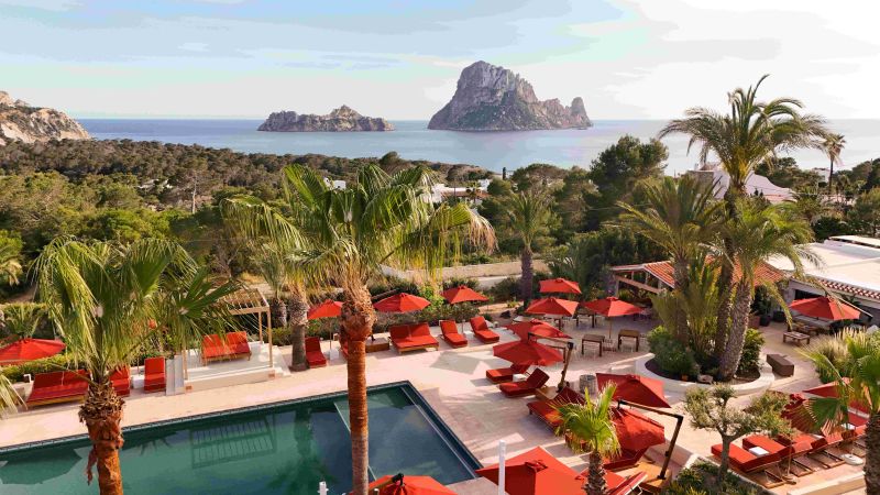 Petunia Ibiza