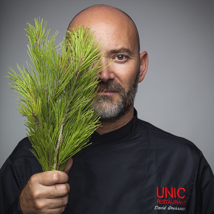 DAVID GRUSSAUTE