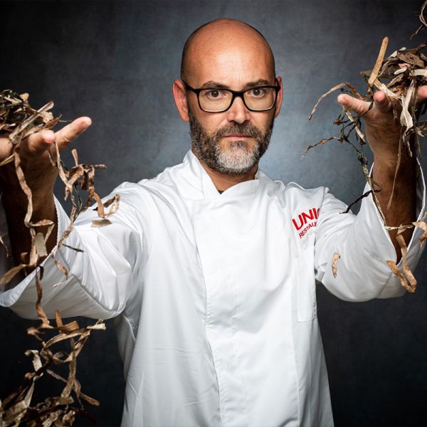 DAVID GRUSSAUTE