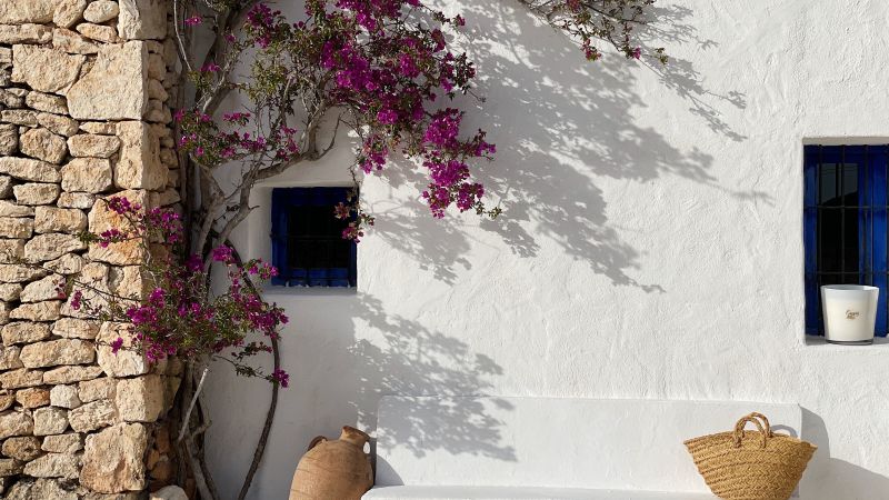 Campos de Ibiza