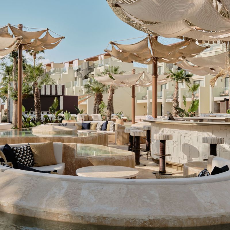 The Palm Club
