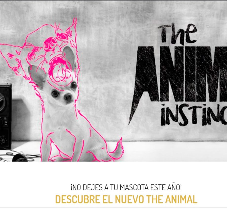 ¿De vacaciones a Ibiza con tu mascota?