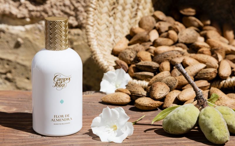 Campos de Ibiza